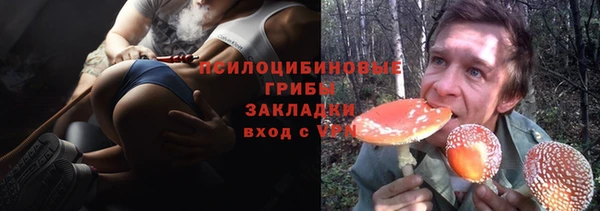 гашик Аркадак
