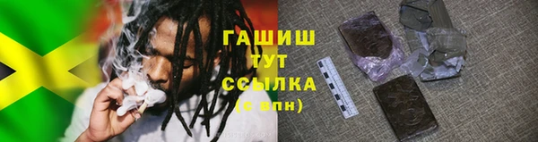 гашик Аркадак