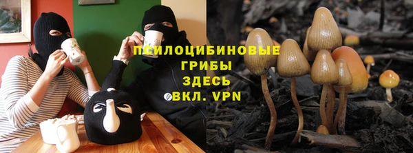 винт Арсеньев